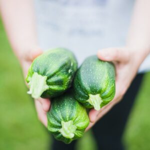 Close Up of Woman Holding Vegetables