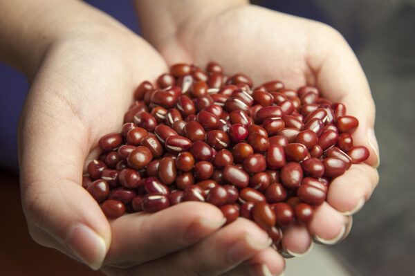 red beans, hands, cereal