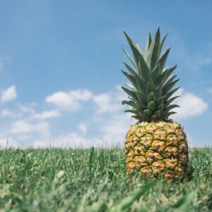 pineapple, grass, field